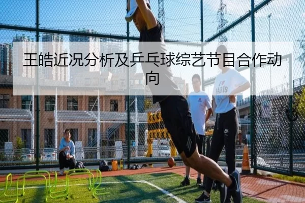 王皓近况分析及乒乓球综艺节目合作动向（HTH SPORTS）